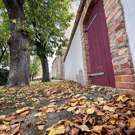 Charming With Easy Access To Berlin Apartment *